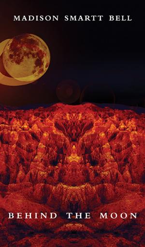 Cover of the book Behind the Moon by Kate Schatz