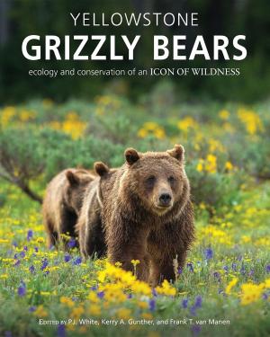 Cover of the book Yellowstone Grizzly Bears by Christiane Bößel