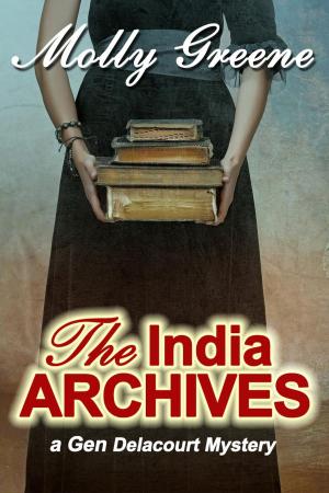 Cover of the book The India Archives by Garrett Leigh
