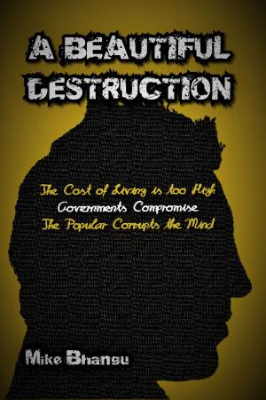 Cover of A Beautiful Destruction