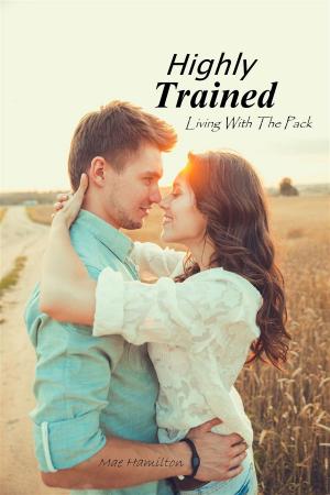 Cover of the book Highly Trained by Andy McKell