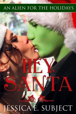 Cover of the book Hey, Santa by A. E. Conran