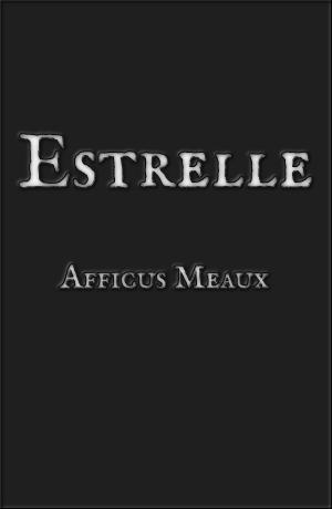 Book cover of Estrelle
