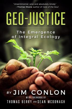 Cover of the book Geo-Justice by Matthew Fox