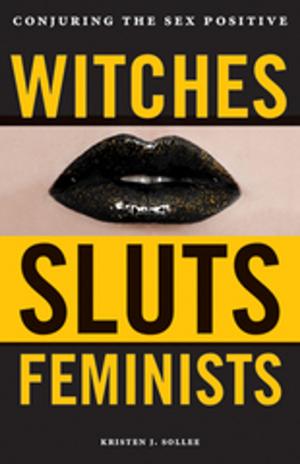 Cover of the book Witches, Sluts, Feminists by Frederik L. Schodt