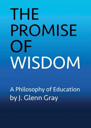 Book cover of The Promise of Wisdom