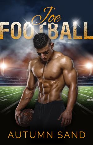 Book cover of Joe Football