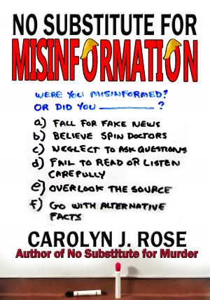 Cover of the book No Substitute for Misinformation by BD Nelson