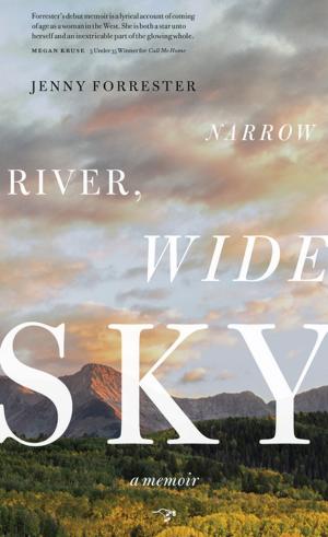 Cover of the book Narrow River, Wide Sky by Peter Selgin