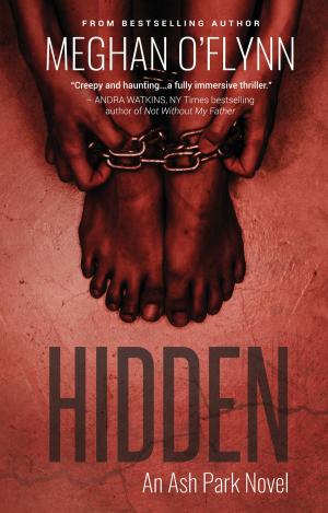 Cover of the book Hidden by Brett Halliday