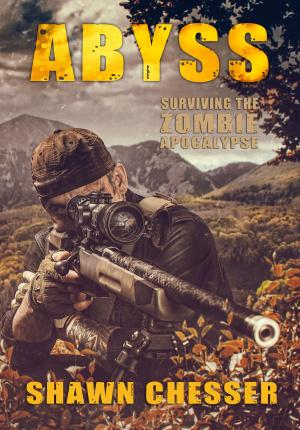 Book cover of Abyss: Surviving the Zombie Apocalypse