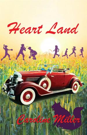 Cover of the book Heart Land by Warren Lieberman