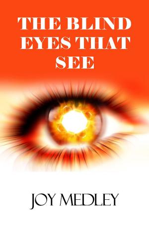 Book cover of Blind Eyes that See