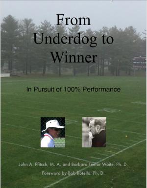 Book cover of From Underdog to Winner: In Pursuit of 100% Performance
