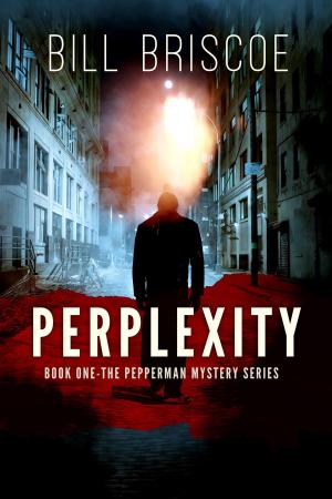 bigCover of the book Perplexity by 