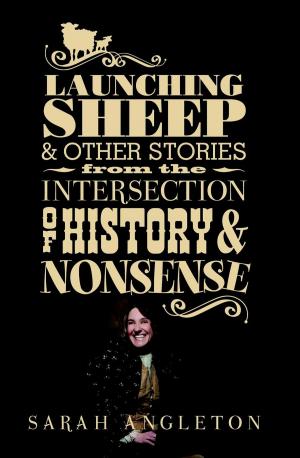 Cover of the book Launching Sheep & Other Stories from the Intersection of History and Nonsense by Judith Burke