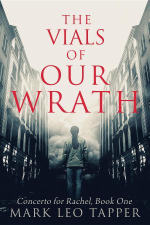 Cover of the book The Vials of Our Wrath by Vikki Romano