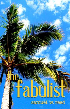Cover of the book The Fabulist by Norm Cowie