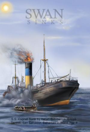 Book cover of Swan Sinks