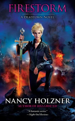 Cover of the book Firestorm by Nancy A. Collins
