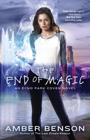 Cover of the book The End of Magic by Skyler White