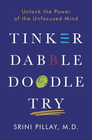 Cover of the book Tinker Dabble Doodle Try by Jeffery Deaver