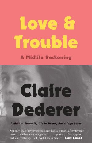 Cover of the book Love and Trouble by Jill Bialosky
