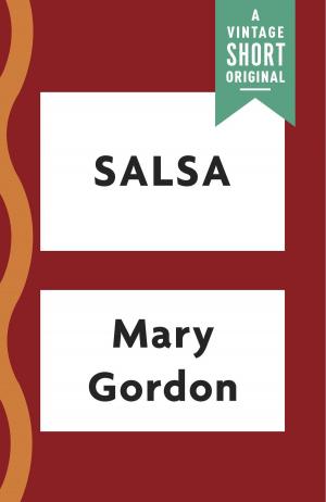 Book cover of Salsa