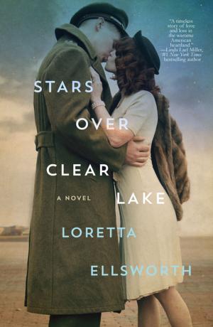 Cover of the book Stars Over Clear Lake by Opal Carew