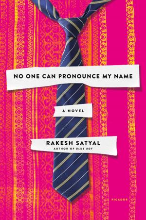 Cover of the book No One Can Pronounce My Name by M.G. Vassanji