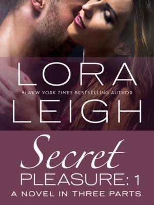 bigCover of the book Secret Pleasure: Part 1 by 