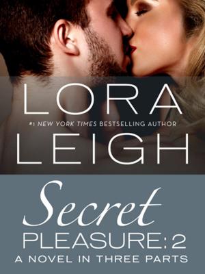 Book cover of Secret Pleasure: Part 2