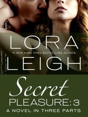 Cover of the book Secret Pleasure: Part 3 by Sara Fawkes