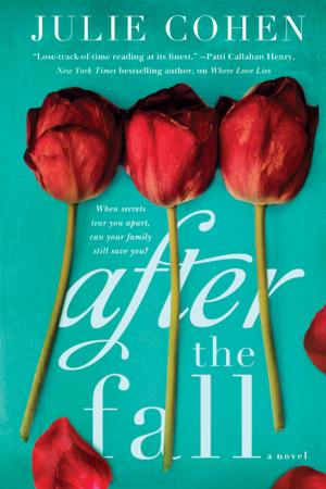 Cover of the book After the Fall by Patti Callahan Henry