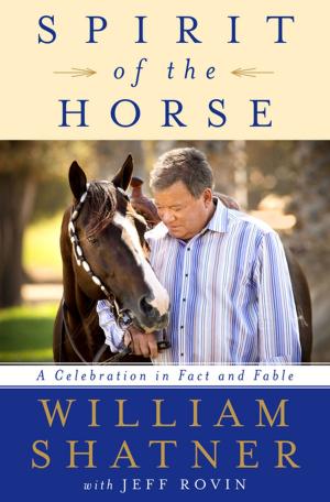 Book cover of Spirit of the Horse