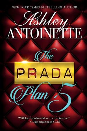 Cover of the book The Prada Plan 5 by Sebastian Faulks