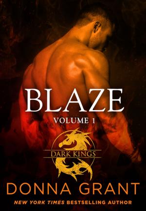 Cover of the book Blaze: Volume 1 by Lawrence Ross