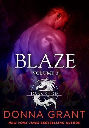 Cover of the book Blaze: Volume 3 by Ken Mercer