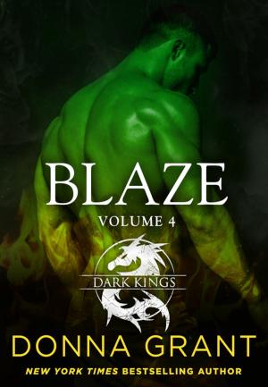 Cover of the book Blaze: Volume 4 by Susanna Calkins
