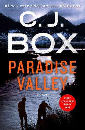Cover of the book Paradise Valley: Free 9-Chapter Preview by Dewey Lambdin
