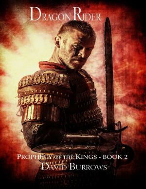 Book cover of Dragon Rider - Book 2 of the Prophecy of the Kings