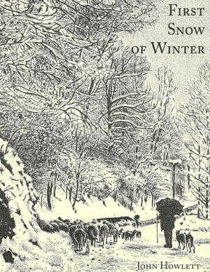 Cover of the book First Snow of Winter by Christopher Day
