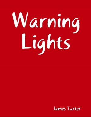 Cover of the book Warning Lights by Alexander Rebelle