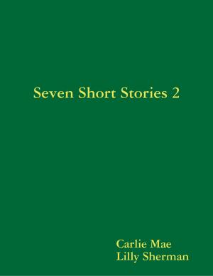 Book cover of Seven Short Stories 2
