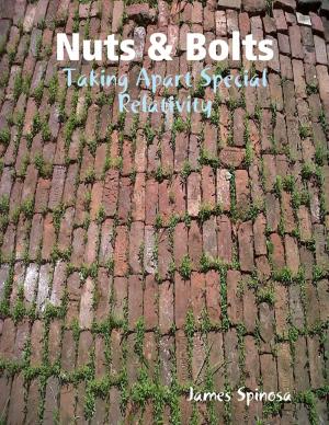 Book cover of Nuts & Bolts: Taking Apart Special Relativity