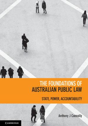 Cover of the book The Foundations of Australian Public Law by David Villanueva
