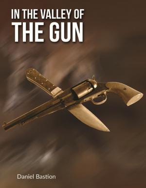 Cover of the book In the Valley of the Gun - A Short Story by Michael Cimicata