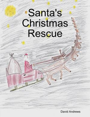 Book cover of Santa's Christmas Rescue