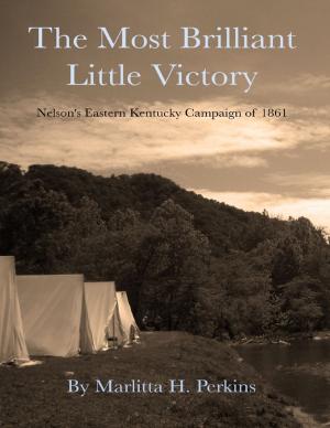 Book cover of The Most Brilliant Little Victory