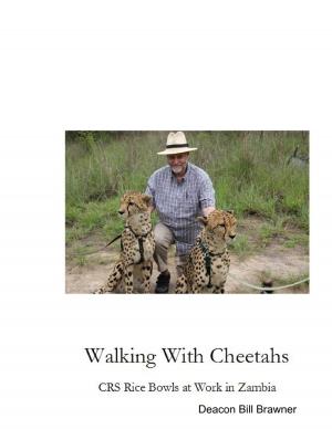 Cover of the book Walking With Cheetahs by Gizel Hazan